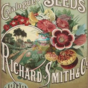 go tuptup seed catalogue 01 01