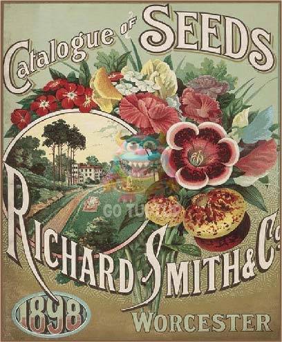 go tuptup seed catalogue 01 01